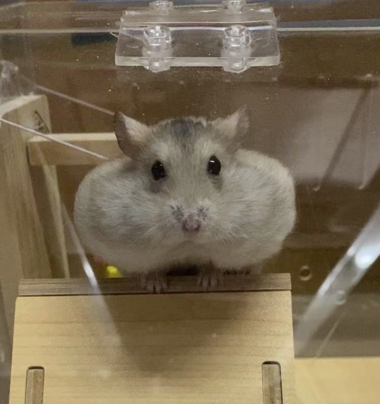 Hello World